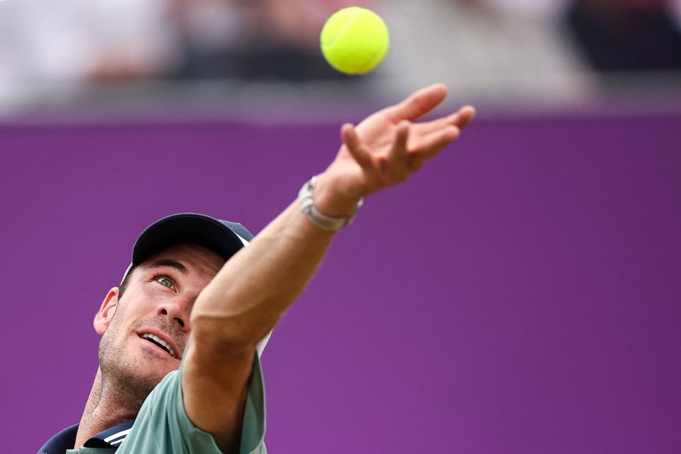 表现与应对 表现与应对